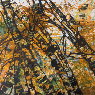 Outlined Forest in Autumn