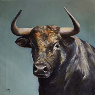 Toro bravo