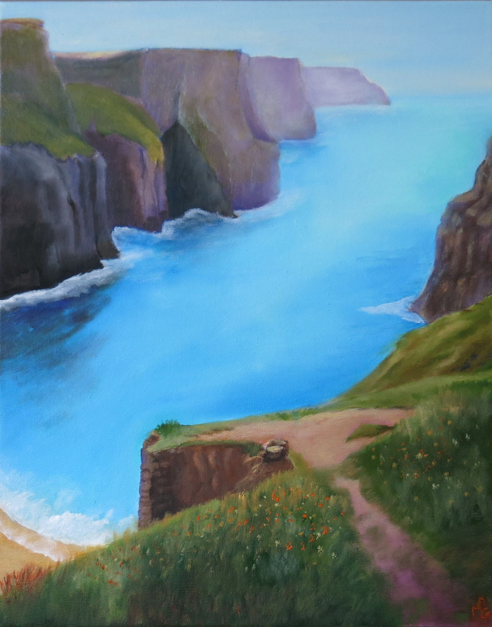 The Cliffs of Moher (Ireland)