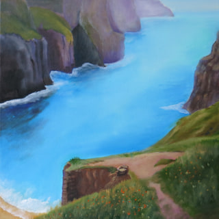 The Cliffs of Moher (Ireland)