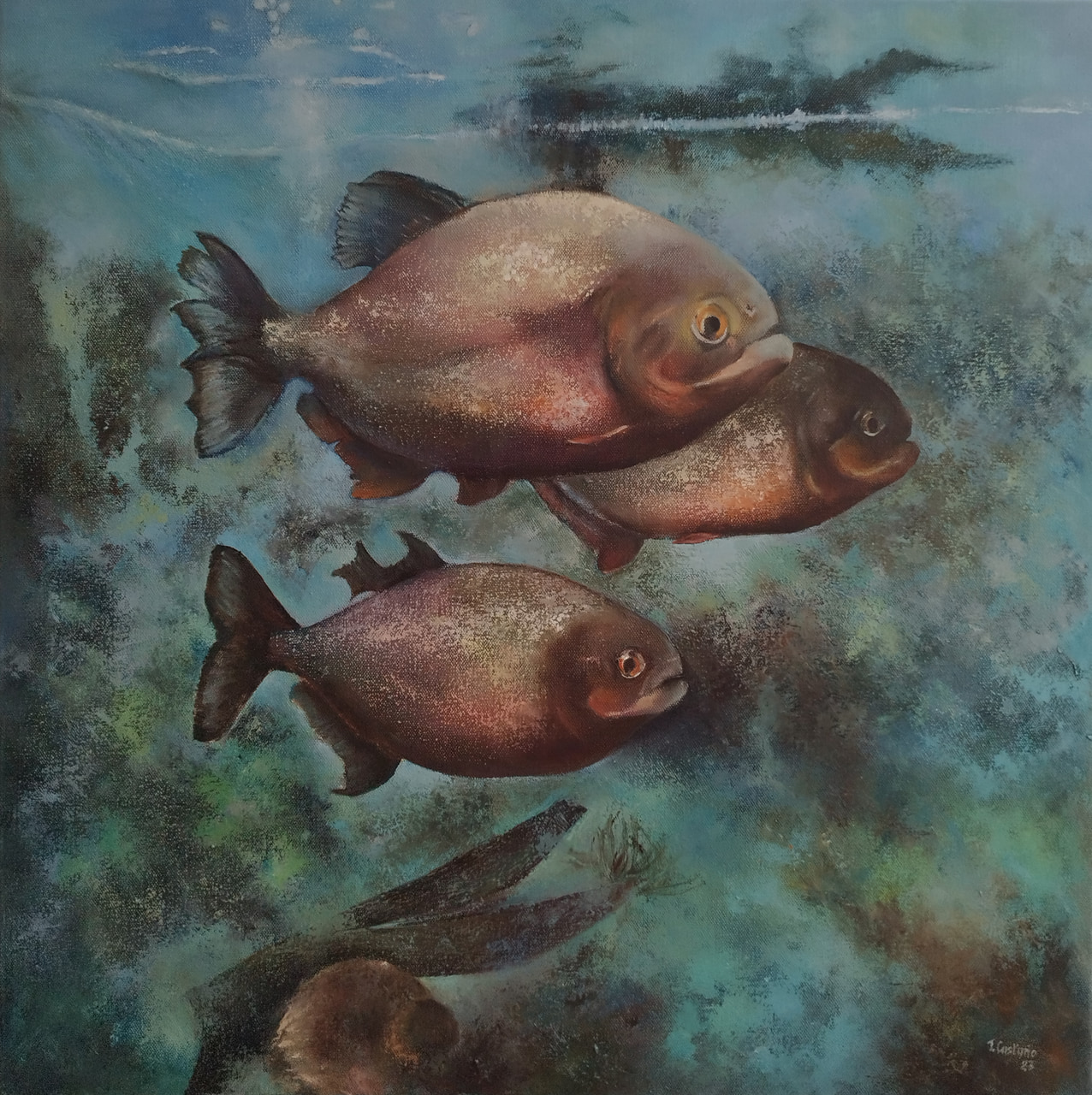 Pirañas
