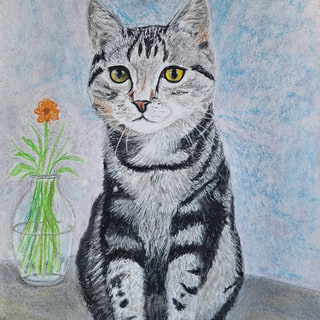 Cat on the Table
