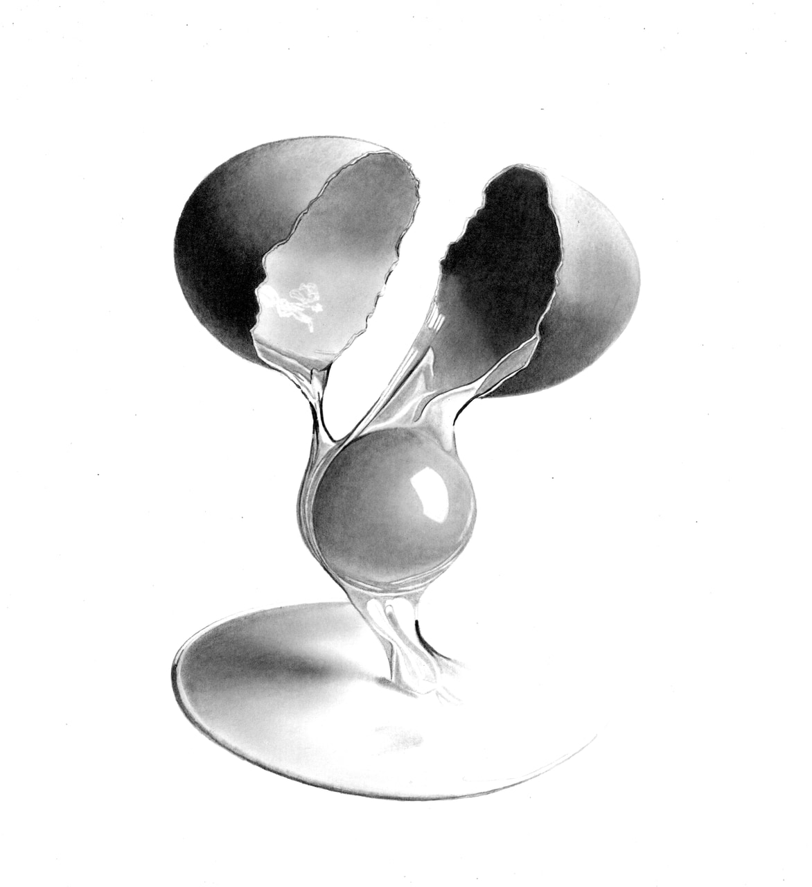 A Dozen Eggs No. 3