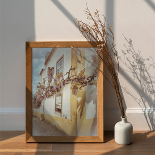 Wisteria on a Sunlit Wall, Óbidos