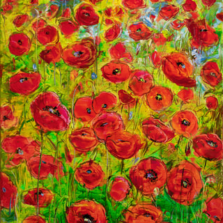 Field of Poppies