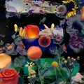 Summer Colors 23