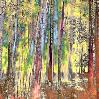Mysterious woodland 3