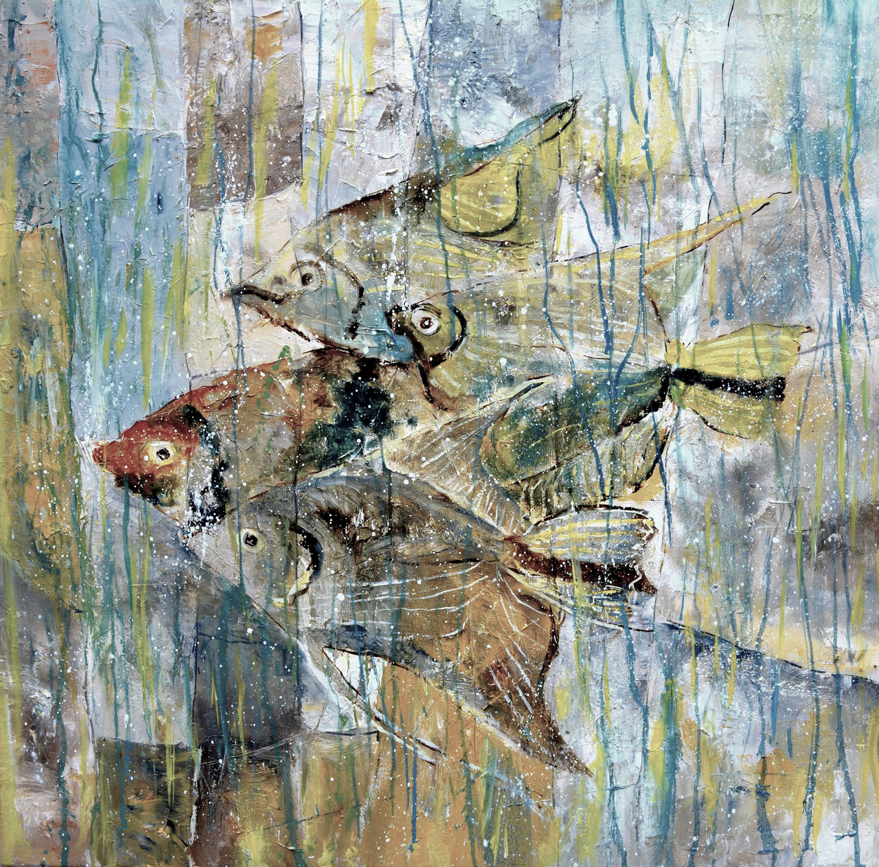 Angelfish