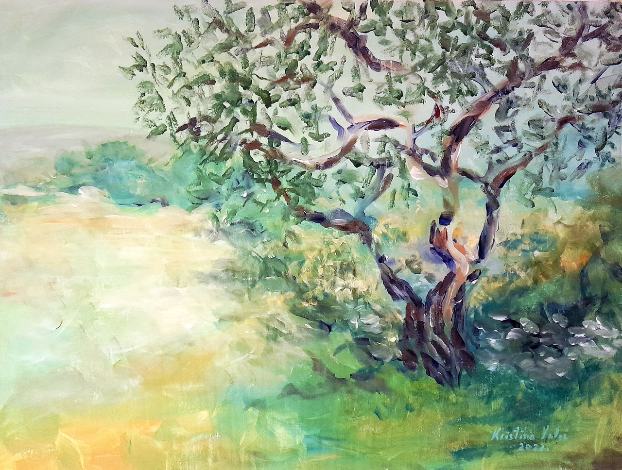 Olive Tree