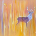 Nascent Stag