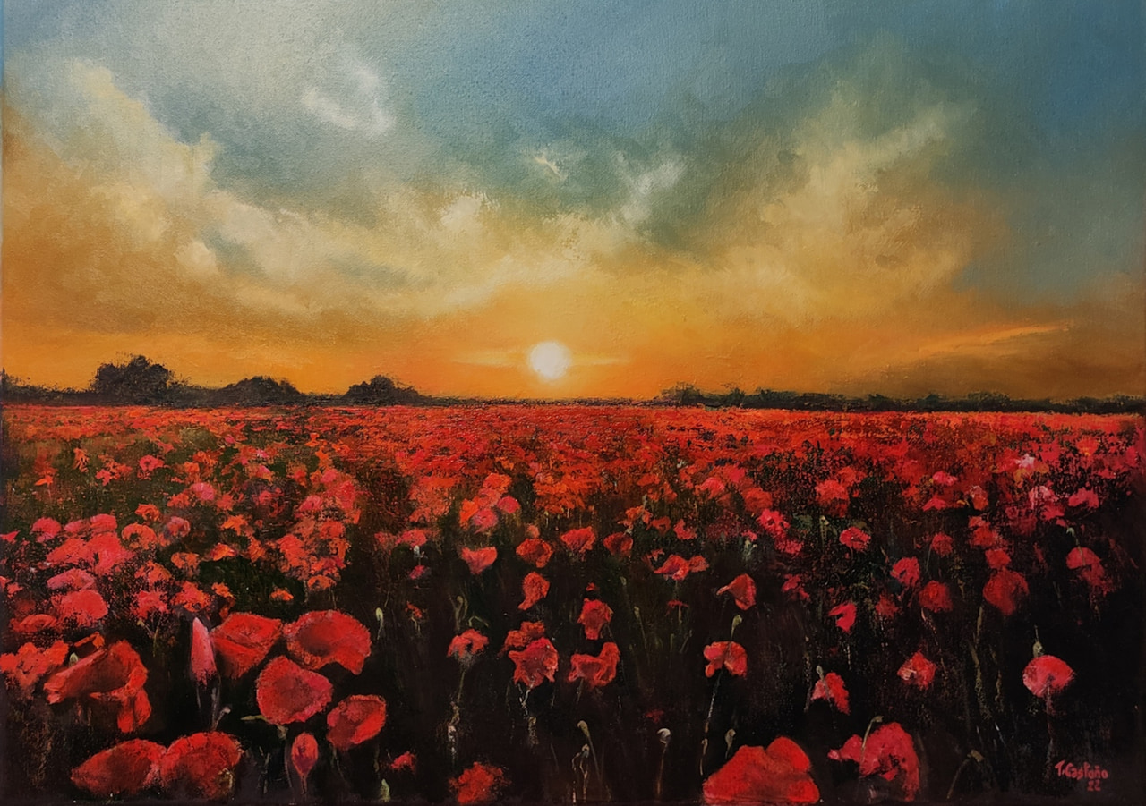 Coquelicots au coucher du soleil