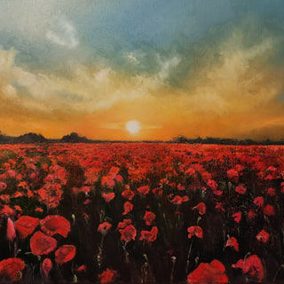 Poppies at Sunset