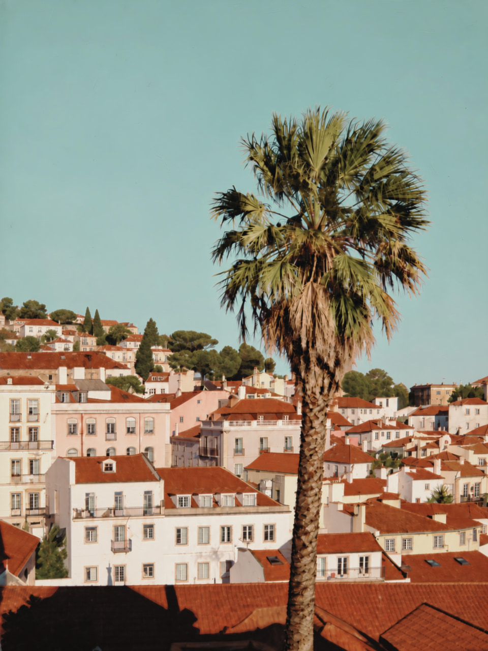 Über den Dächern von Alfama, Lissabon