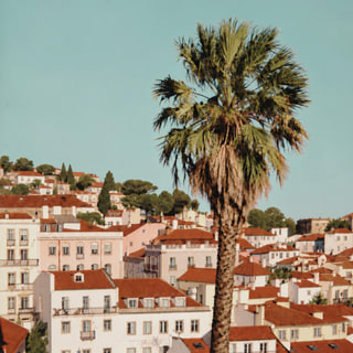 Über den Dächern von Alfama, Lissabon