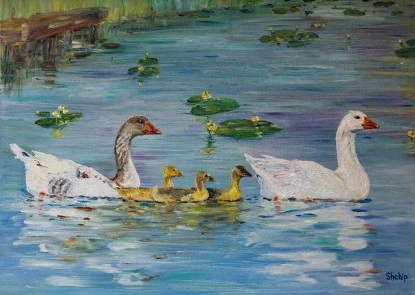 Gänse auf dem Teich