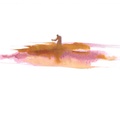 The Goldpanner 4