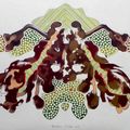 Rorschach n.º 3