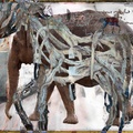 Fields Of Honor For Disappeared Species