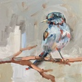 Little Bird