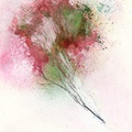Floral Fantasy 1