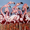 Flamencos