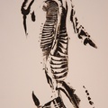 Monotype 4