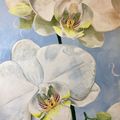 White Orchid