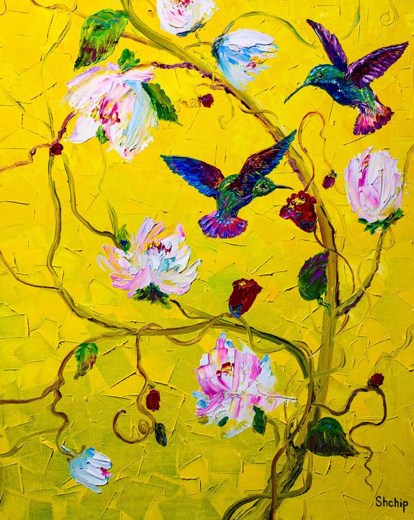 Colibrí