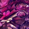 Your Garden