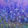 Daisy Meadow