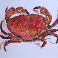 Cromer Crab