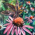 Echinacea - Cone Flower