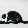 The Black Cat 2