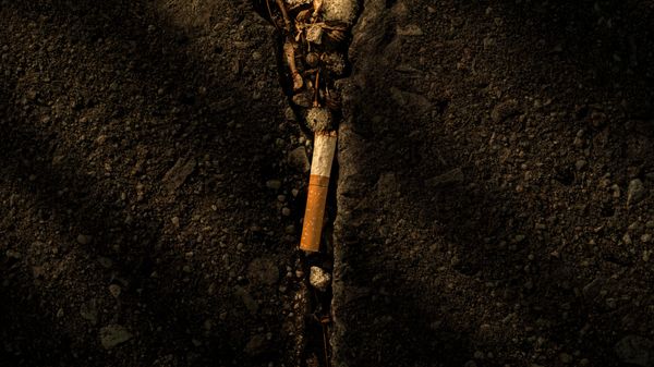 Cigarette Butt (2019-12-GNY-37)