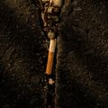 Cigarette Butt (2019-12-GNY-37)
