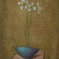 Jonquils