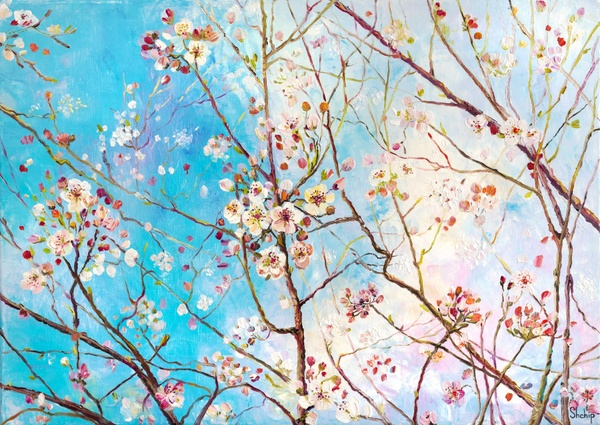 Frühlingsblüten