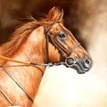 Horse Head Study 1