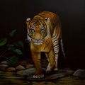 Gran felino
