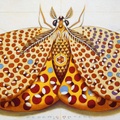 Chromatic Butterfly - Yellow