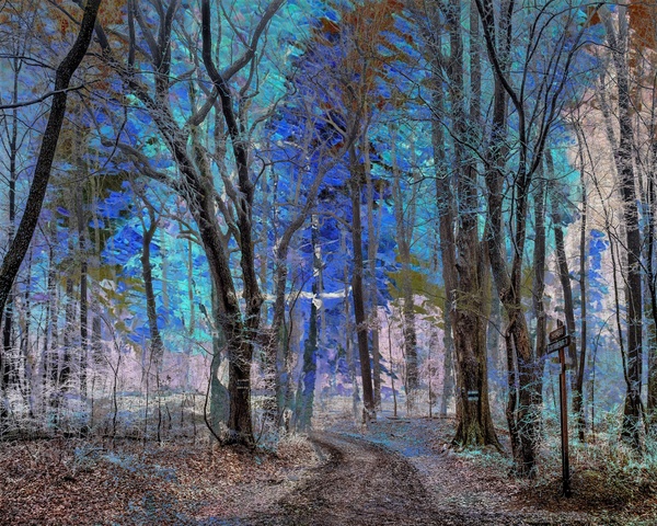 Forest 8819