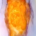 Oil on Canvas 18