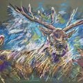 Stag With Birds