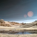 Pond at Stoke Hazel Wood