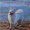 Perro junto al mar 2