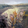 November County
