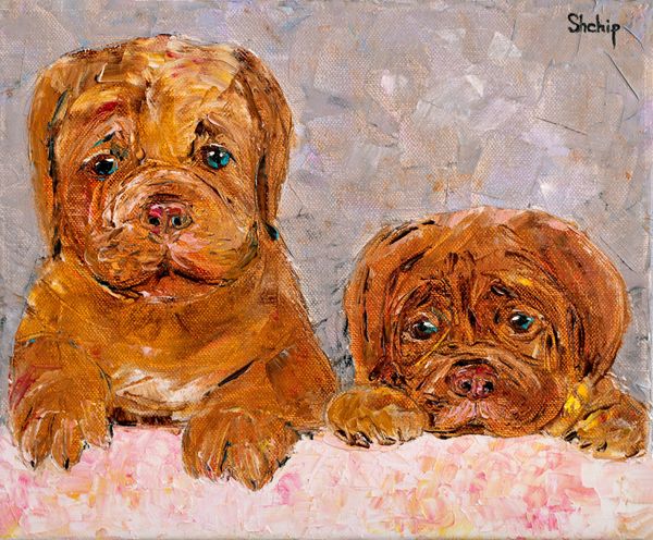 Lovely Puppies. Dogue de Bordeaux