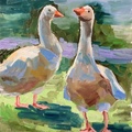 Geese