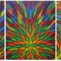 Flamboyant Colours Movements