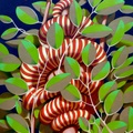 Eden